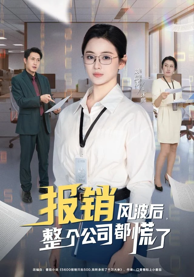 报销风波后，整个公司都慌了作品封面